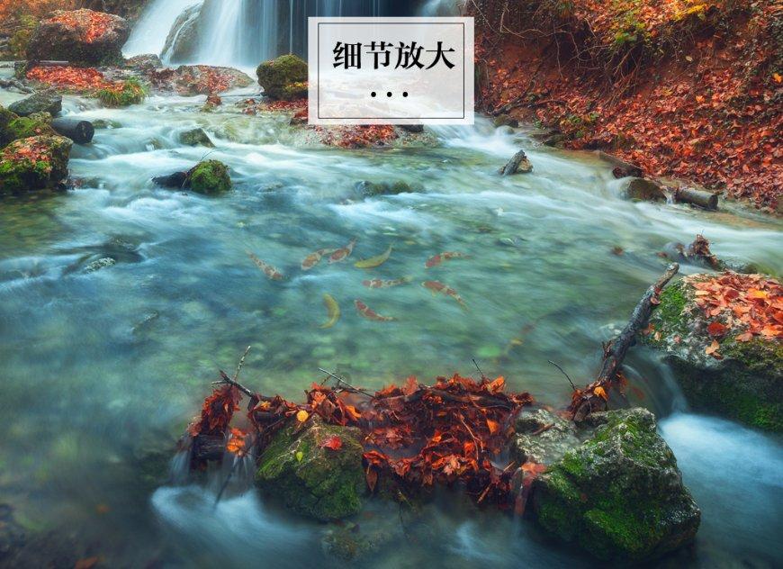 五彩蛇大作战